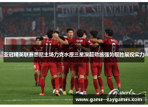 亚冠精英联赛悉尼主场力克水原三星澳超劲旅强势取胜展现实力