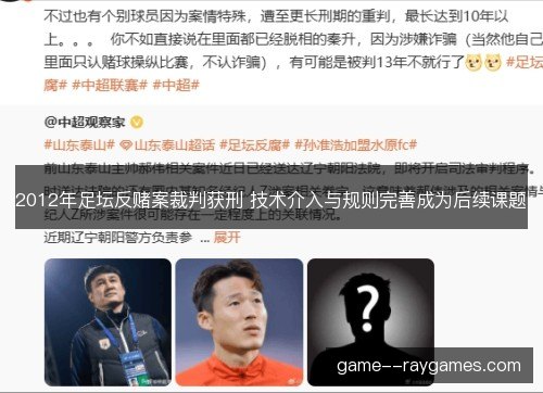 2012年足坛反赌案裁判获刑 技术介入与规则完善成为后续课题